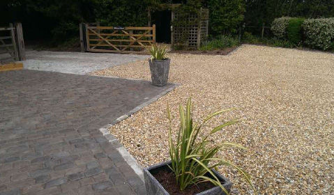 Tree and shrub planting Reading